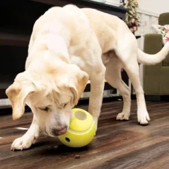 Kong Rewards Tennis koiranlelu, Large