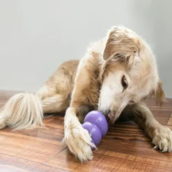 Kong Senior koiranlelu, L