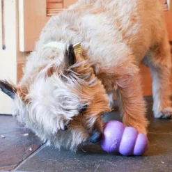 Kong Senior koiranlelu, M