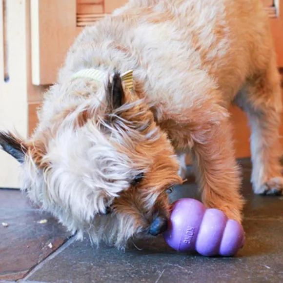 Kong Senior koiranlelu, M