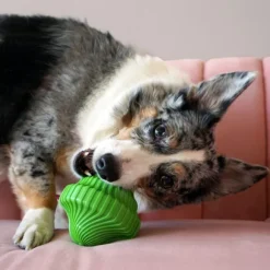 Kong Squeezz Orbitz Pin Top Mix koiranlelu, M/L