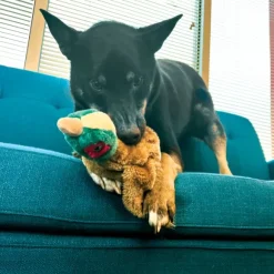 Kong Wild Low Stuff Pheasant