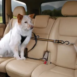 Kurgo Auto Zip Line turvavyönkiinnike hihnalla, musta/oranssi