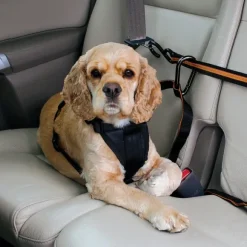 Kurgo Auto Zip Line turvavyönkiinnike hihnalla, musta/oranssi