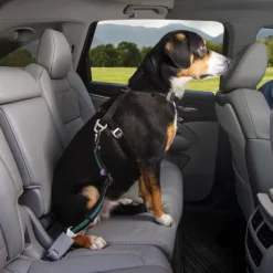 Kurgo Direct to Seat Belt Swivel Tether koiran turvavyö, sininen