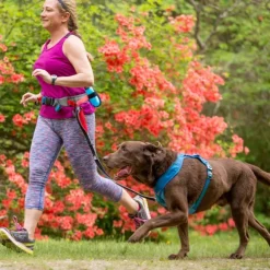 Kurgo Excursion Running Belt