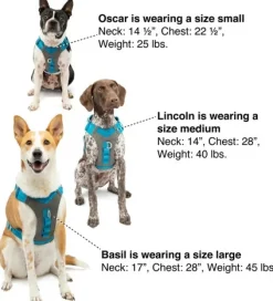 Kurgo Journey Air Harness koirien valjaat, Purple