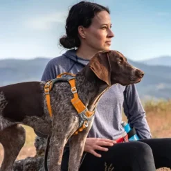 Kurgo Journey Air Harness koirien valjaat, Purple