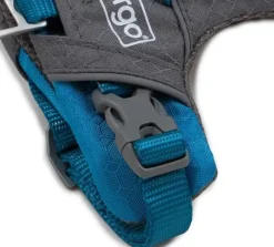 Kurgo Journey Air Harness koirien valjaat, Coral