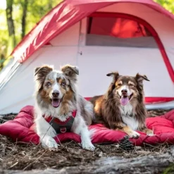 Kurgo Wander Bed Loft rullattava koiranpeti, Medium, punainen