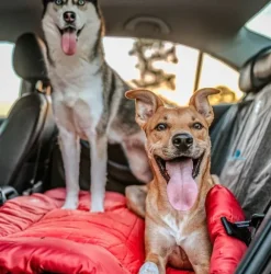 Kurgo Wander Bed Loft rullattava koiranpeti, Medium, punainen