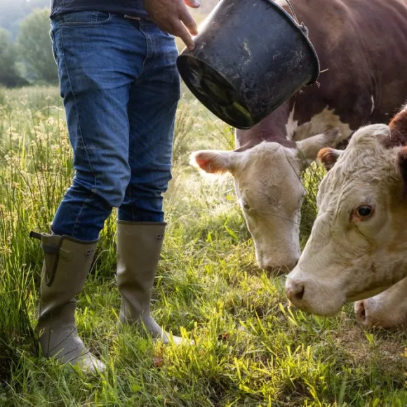 Le Chameau Men's Vierzon Boot