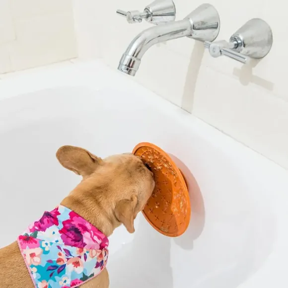 Lickimat koirankuppi Splash sininen 19 cm