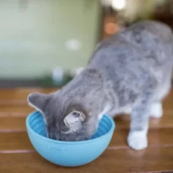 Lickimat nuolumatto Wobble Sininen 17x17x8 cm