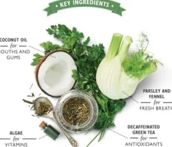 Lily's Kitchen Woofbrush Dental Care Small Multipack hammashoitoherkku, 7 x 22 g