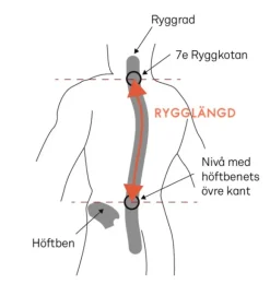 Lundhags Saruk Pro 75 L Regular Long rinkka, maastonvihreä