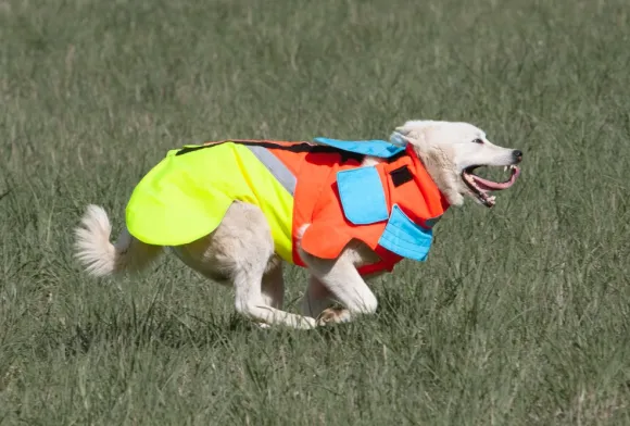 Mikael Tham Tuskproof Boar v.5 suojaliivi, XXS, Orange