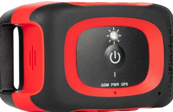 MiniFinder Rex metsästysjäljitin koiralle