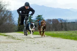 Neewa Adjustable vetovaljaat musta