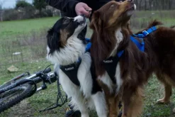 Neewa Adjustable vetovaljaat musta