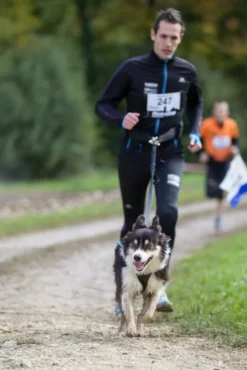 Neewa joustohihna 1,5m