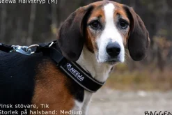 Neewa puolikuristava panta, keltainen