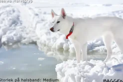 Neewa puolikuristuspanta, musta