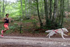 Neewa Racing Tug Line med Bungee 1,7m