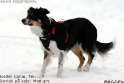 Neewa Running Harness Musta