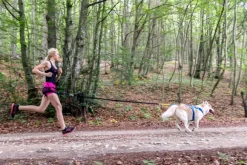 Neewa säädettävät vetovaljaat, sininen