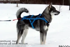 Neewa säädettävät vetovaljaat, sininen