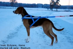 Neewa säädettävät vetovaljaat, sininen