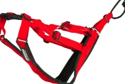 Neewa Sled Dog X-Back vetovaljaat, punainen
