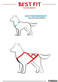 Neewa Sled Dog X-Back vetovaljaat, punainen