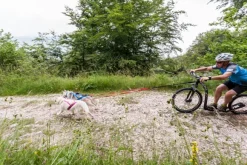 Neewa Sled Pro vetovaljaat punainen