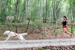 Neewa Sled Pro vetovaljaat punainen