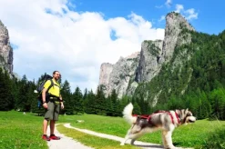 Neewa Sled Pro vetovaljaat punainen