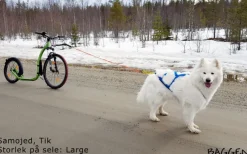 Neewa Sled Pro vetovaljaat, sininen