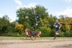 Neewa Sled Pro vetovaljaat, sininen