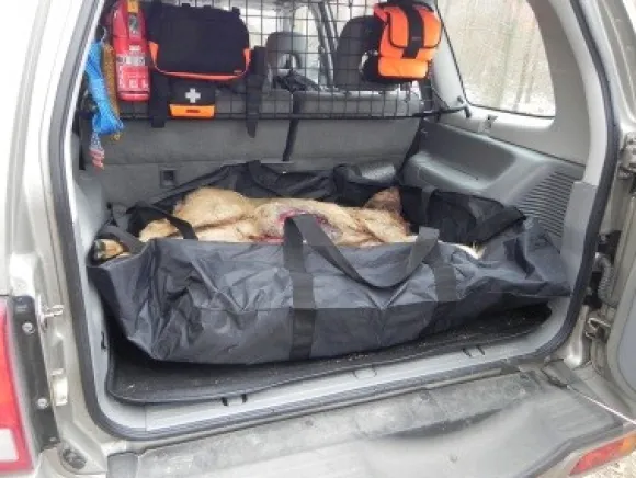 Neverlost Riistapussi Autoon