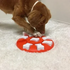 Nina Ottosson Dog Smart