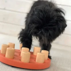 Nina Ottosson Dog Smart Komposit Orange