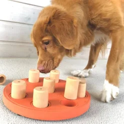 Nina Ottosson Dog Smart Komposit Orange