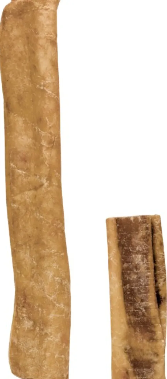 Njord Pet pururulla, Extra Large