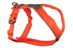 Non-Stop Dogwear Line Harness 5.0, oranssi
