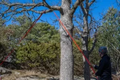 Nordic Pocket Saw Arborist V.2 taskusaha, oranssi/musta