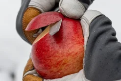 Nordic Pocket Saw Multi-Tool 13 monitoimityökalu