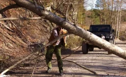 Nordic Pocket Saw Orange