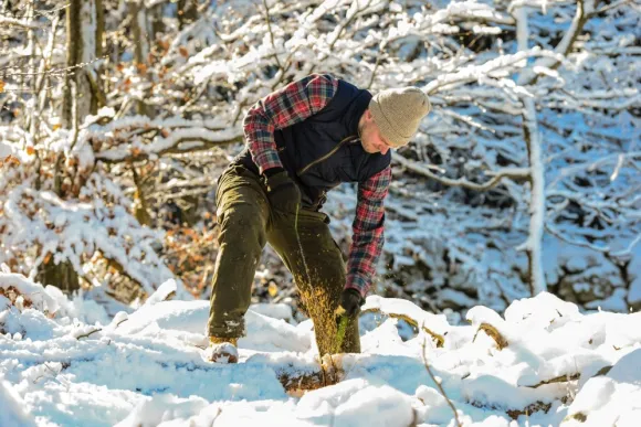 Nordic Pocket Saw Red