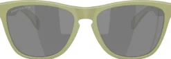 Oakley Frogskins Matte Fern Prizm Black Polarized
